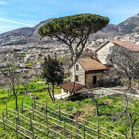 Tenuta Novecento Bioagriturismo